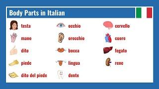 Body Parts in Italian