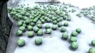 How to have fun in Skyrim. (PC)