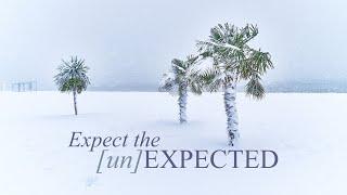 Expect the Unexpected, Vine, December 20, 2020