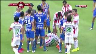 Apertura 2015 | Necaxa vs Atlético San Luis