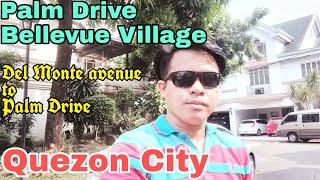 Palm Drive Bellevue Village Quezon City