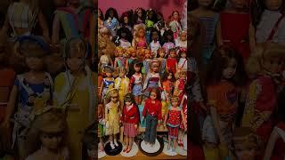 Who's That Skipper Doll? #summeronshorts #dollcollection