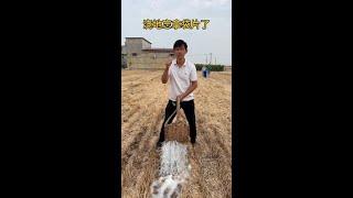#搞笑 #农村趣事 #乡村笑话 #幽默搞笑 #风土人情 #家庭娱乐