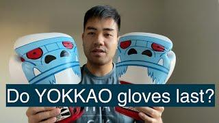 YOKKAO MONSTER MUAY THAI BOXING GLOVES | 500 Hours Later