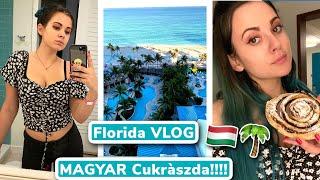 Egy Nap Floridába VLOG - MAGYAR CUKRÁSZDA!!!!!!!