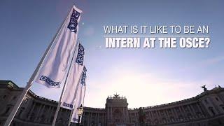 What it is like to be an intern at the OSCE?