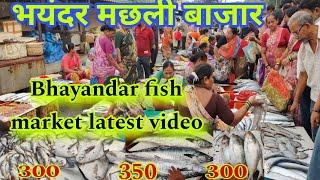 भयंदर मछली बाजार | Bhayandar fish market latest video | bhayandar fish market