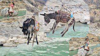 River crossing adventure‍️with Mr.Youssef's family and his donkeys