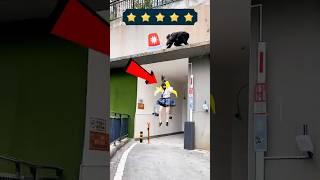 Kaçıyorum! Polis peşimde! ‍️‍️