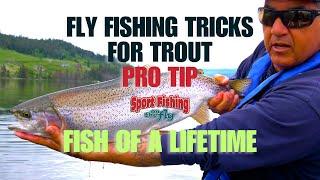 FLY FISHING TRICKS FOR TROUT: PRO TIP - FISH OF A LIFETIME!!!