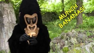 The Evolution Song - David Rives - Evolution, The Science of Confusion