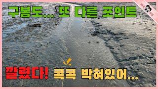 수도권에서 가까운 앞바다에 누구나 좋아하는 이것! 주워 담기