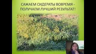 Сидераты2015