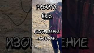 «КАЛЬМАР» каждый рыбак будет мечтать о таком  #рыбалка #рыбак #мастер #кальмар #ловля #находки
