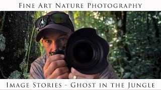 Searching for the Elusive Ghost Orchid - Fine Art Nature Photography