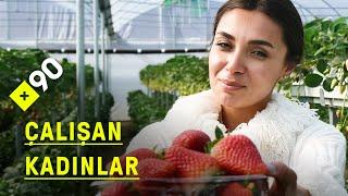 Çalışan kadınlar: Topraksız tarım | "Çileği dalında görünce insanın psikolojisi düzeliyor"