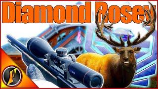 Our Biggest Diamond Rosey EVER for the Layton Trophy Cabin! | theHunter Call of the Wild