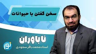 یک معجزه پیامبر برای امروز!