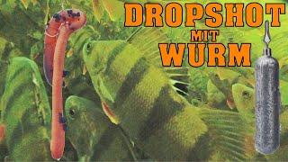 Dropshot mit Wurm - Angeln vom Feinsten