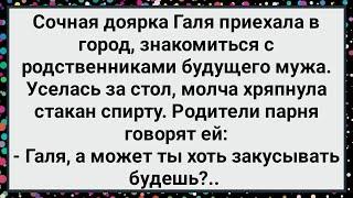 Как Сочная Доярка с Родычами Жениха Знакомилась! Новый Сборник Свежих Смешных Анекдотов!