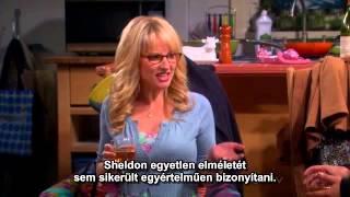 The Big Bang Theory 6x09 - The Parking Spot Escalation 3