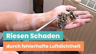 Luftdichtheit, Schimmel und Leckagen - Baugutachter decken auf!