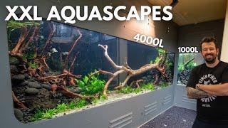 7000L Aquascapes im Aquarium Zoo/Haus des Meeres einrichten!