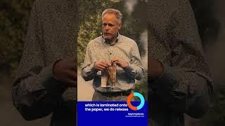 What does sustainable embellishment mean and how do we get there? - Ralph Hopfensitz at CVC 2025