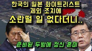 한국의 일본 화이트리스트 배제에 영향 미미하다?