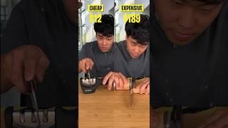 Testing Cheap vs. Expensive Knife Sharpeners!