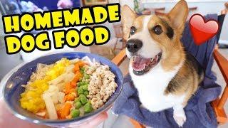 My Corgi's Reaction to Homemade Cooking for the Week || Life After College: Ep. 641