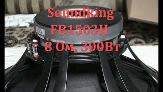 Soundking FB1503H 300W 8Om