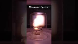 Making scary plasma in a microwave