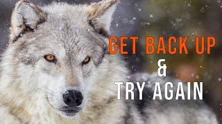 GET BACK UP & TRY AGAIN - New Motivational Video - Motivation for Success, Gym & Study 2022