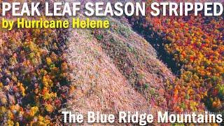 WNC Peak Leaf Season ~ Post Helene