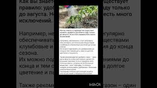 советы агрономов