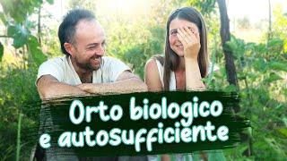 Come fare un orto biologico e autosufficiente: agroforestazione vs agricoltura convenzionale