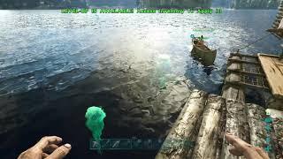 Shark 2