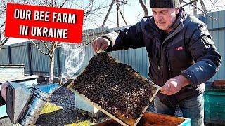 VILLAGE LIFE in UKRAINE I Bee Hives Preparation 2023