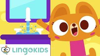  WASHING HANDS   Songs for Kids  Good Hygiene Habits Lingokids