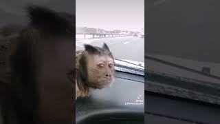 разговор по душам 