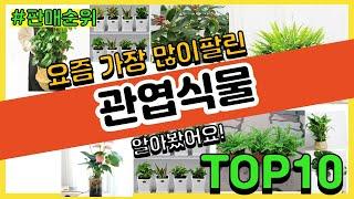 관엽식물 추천 판매순위 Top10 || 가격 평점 후기 비교