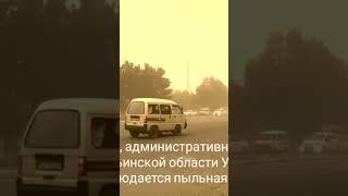 В Термезе, административном центре Сурхандарьинской области Узбекистана наблюдается пыльная буря.