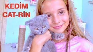 Bir Kedim Oldu. Cat-Rin İçin Odamda Yer Açıyorum. Ecrin Su Çoban