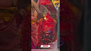Ujjain Mahakal Mandir Hoi 2025 | Mahakal Holi 2025 | Holi in Mahakal Temple 2025 #holi #mahakal