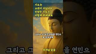 기도는 소원이 아닙니다 진정한 기도 이렇게 하세요  #부처님말씀 #명언 #불교오디오북 #자기수행 #마음공부 #인생조언