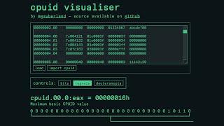 Working on CPUID Visualiser (2021-11-15)