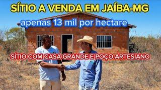 SÍTIO A VENDA COM POÇO ARTESIANO E CASA GRANDE. FAZ TROCA POR CAMINHÃO.