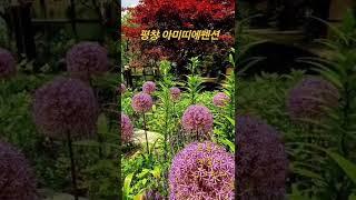 평창여행 평창펜션 초록세상 허브나라 초록향기 아미띠에펜션 시골여행 촌캉스 강원도여행 평창가볼만한곳 힐링여행 #평창여행 #평창펜션추천 #평창가볼만한곳 #여행