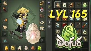 PVP lvl 165 sur DOFUS 3 (TOP LADDER)